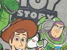 Name It grey melange Toy Story top